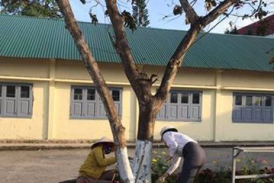 Em yêu trường em!