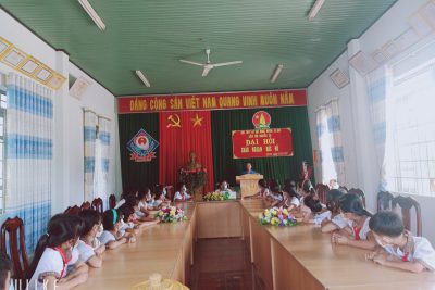 Đại hội cháu ngoan Bác Hồ, liên đội trường TH Nguyễn Du