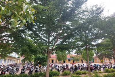 Họp phụ huynh đầu năm học của trường Tiểu học Nguyễn Du – năm học 2023 – 2024